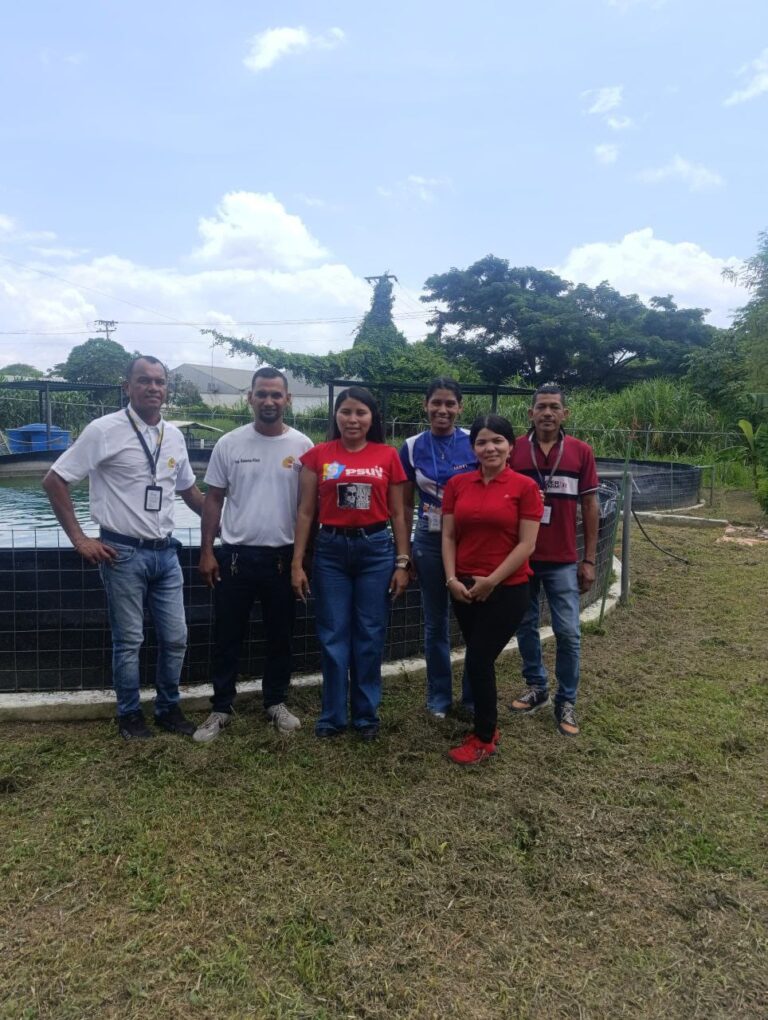 Ciepe impulsa formación técnica en cultivo y producción de tilapias nilóticas en Yaracuy
