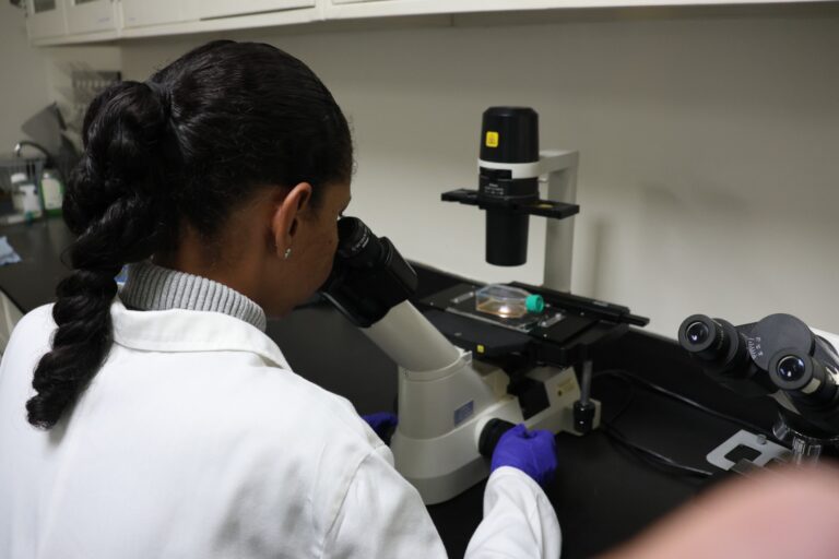 Científicos del IDEA estudian compuestos para atacar parásitos causantes del mal de Chagas y la Leishmaniasis