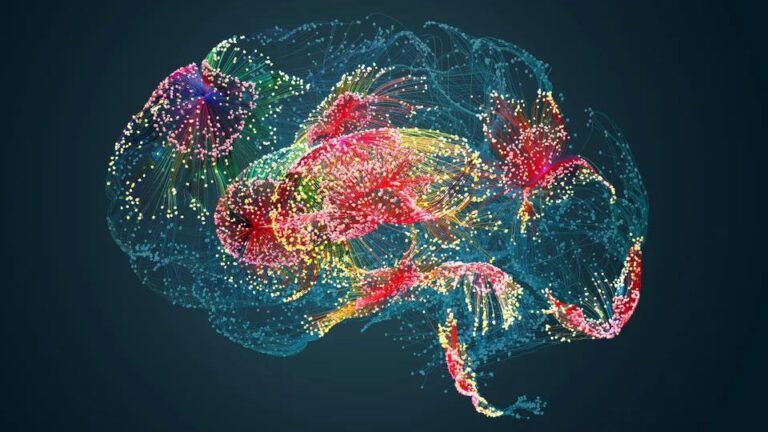 El atlas neuronal que redefine los límites de la ciencia
