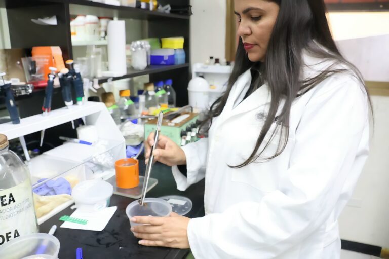 IDEA refuerza identificación taxonómica de escorpiones para la producción de antivenenos