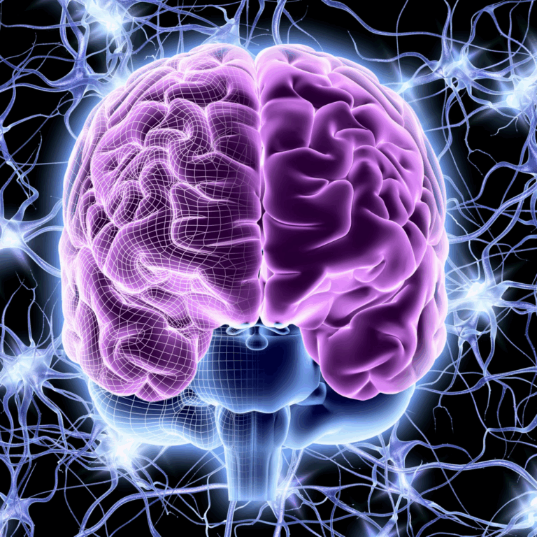 Día Mundial del Cerebro: salud y conciencia global