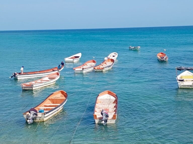Pesca artesanal 3