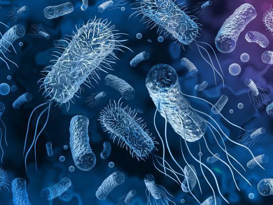 Comunidad científica advierte sobre la expansión global de bacterias resistentes a los antibióticos
