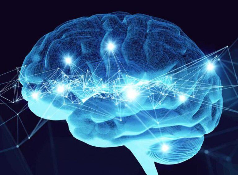 ¿Cómo el cerebro distingue entre realidad y fantasía?
