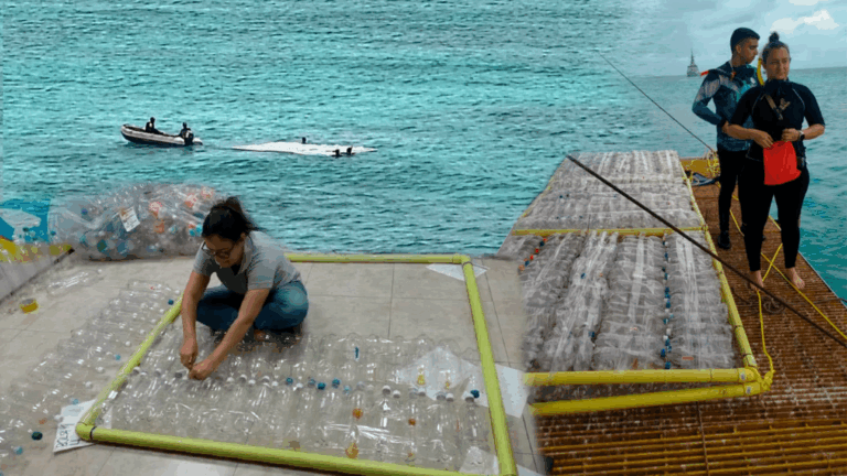 ABAE utiliza imágenes satelitales para mapear contaminación por plásticos en Isla de Aves