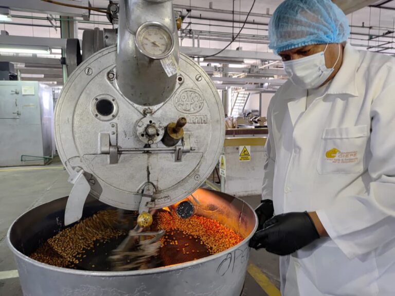 Fundación Ciepe estandariza proceso tecnológico para obtención de harina de maíz tostado