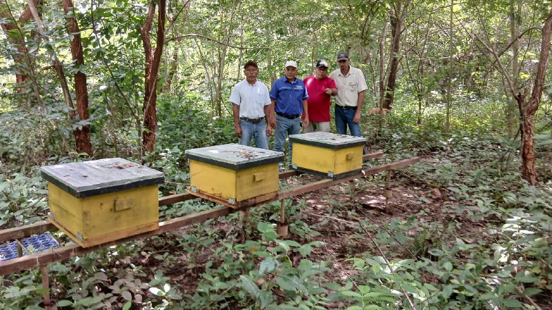 Apicultores de Araure Portuguesa 1