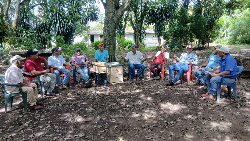 Apicultores de Araure Portuguesa 2