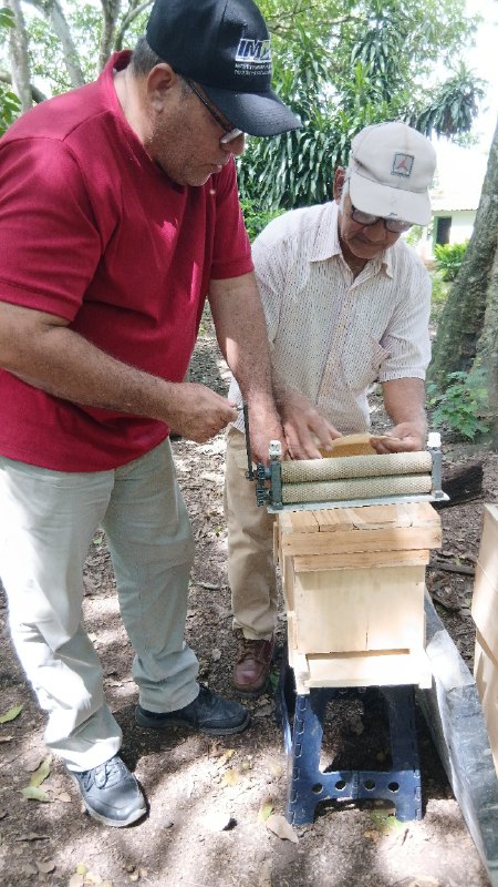 Apicultores de Araure Portuguesa 3