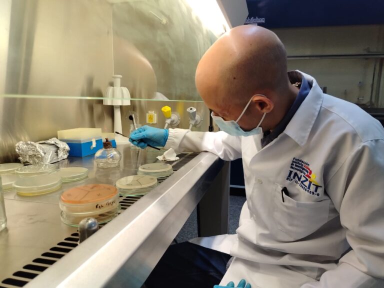 Impulsan investigación sobre bacterias fijadoras de nitrógeno para una agricultura sustentable en Venezuela