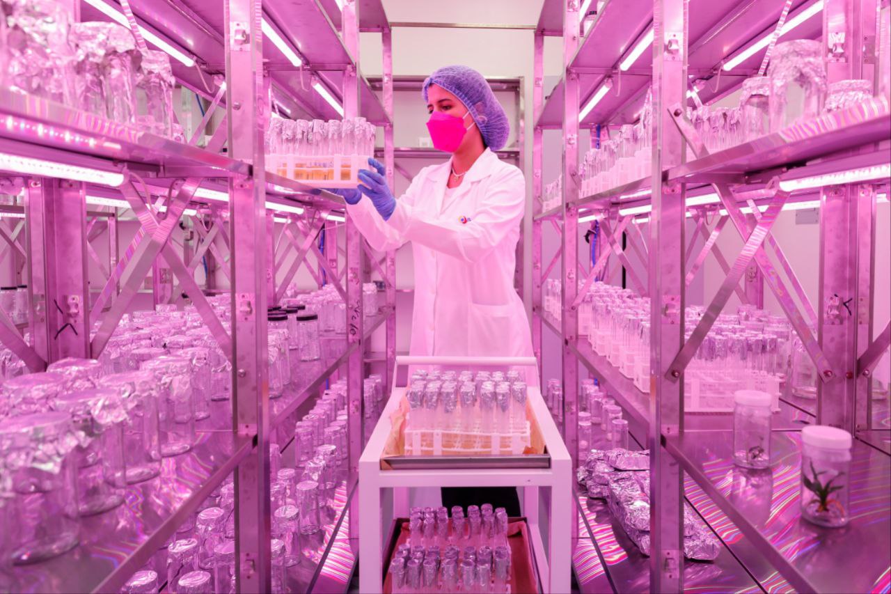 Inaugurado Laboratorio de Mejoramiento Genético de Plantas del IVIC 