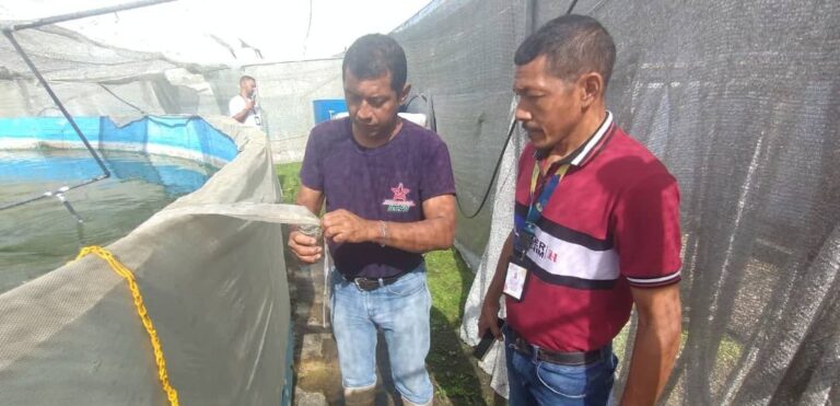 Mincyt imparte conocimientos a investigadores sobre reproducción inducida de peces reófilicos