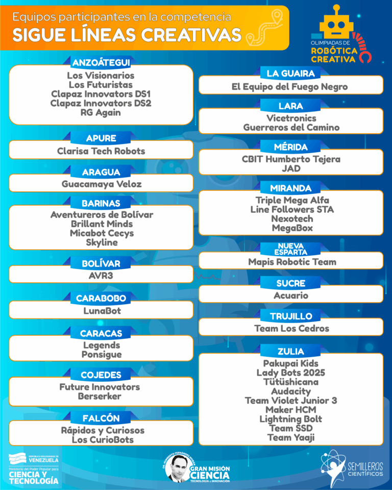 flyer sigue lineas