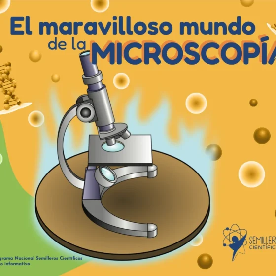 Portada revista: El maravilloso mundo de la microscopía