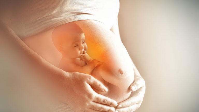 Microquimerismo: el vínculo entre madre e hijo