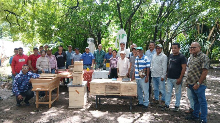 Presentan proyecto de investigación sobre apicultura urbana en Portuguesa