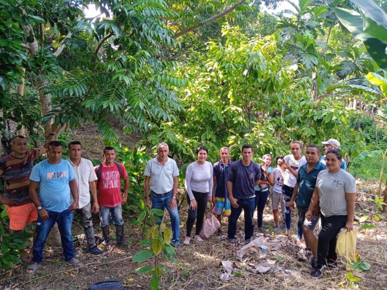 Alianza Científico-Campesina capacita a productores de cacao en control de plagas y enfermedades