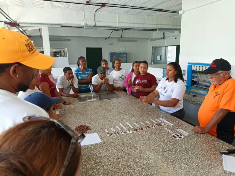 Mincyt impulsa certificación del sistema de cacao con enfoque en gestión de calidad