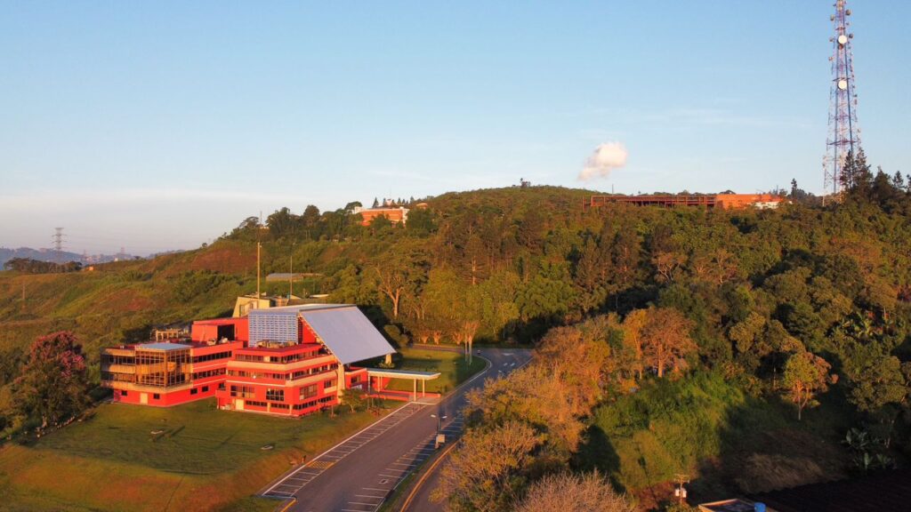 Fundación Instituto de Estudios Avanzados (IDEA)