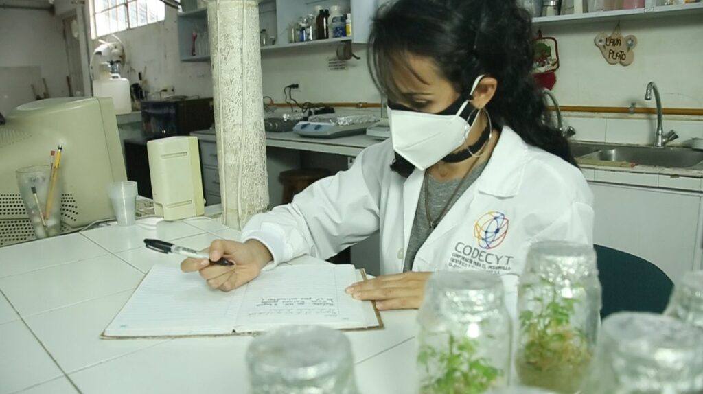 Corporación para el Desarrollo Científico y Tecnológico (Codecyt)