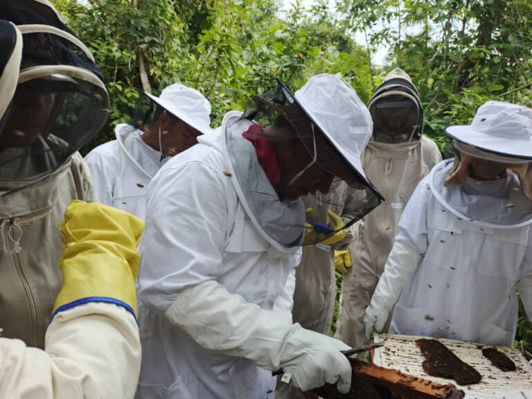ACAV invita al taller sobre apicultura en Barinas