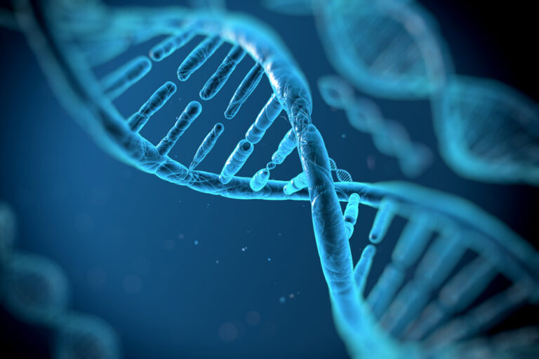 Investigadores desarrollan ADN sintético para construir materiales inteligentes