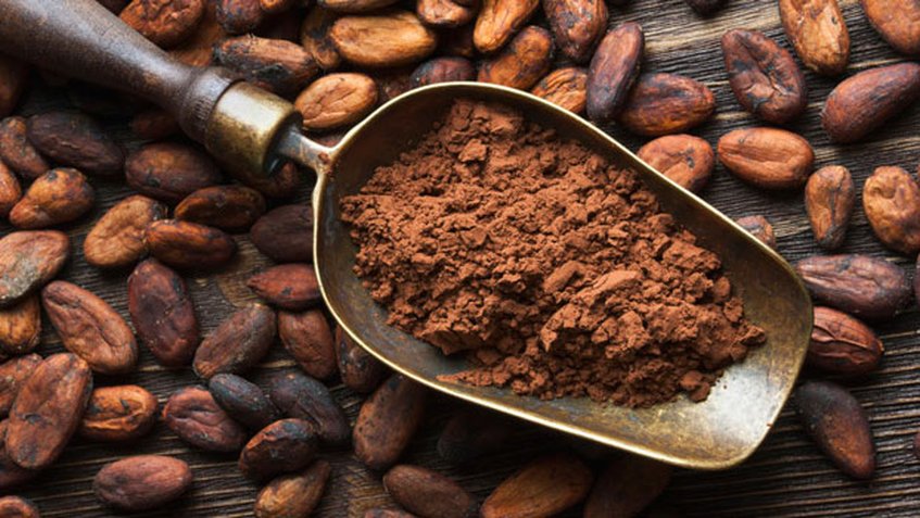 Día Mundial del Cacao