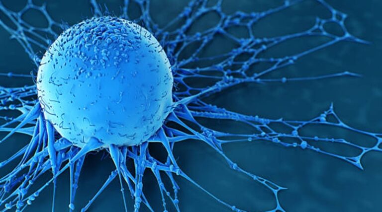 Investigadores determinan el origen y evolución del cáncer empleando modelos matemáticos avanzados