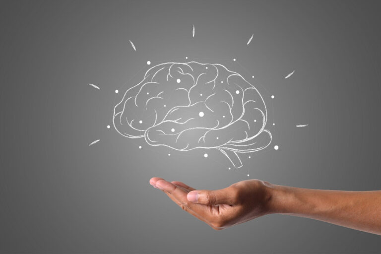 Conoce qué ocurre en el cerebro cuando se toman decisiones