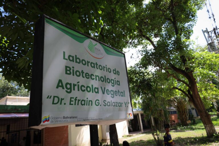 ARCHIVO1