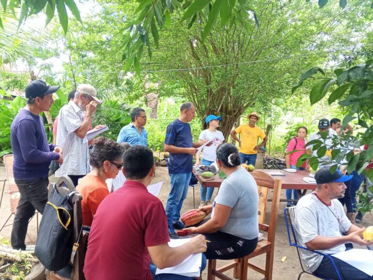 Barinas | Productores fortalecen capacidades científicas para mejora del cacao venezolano