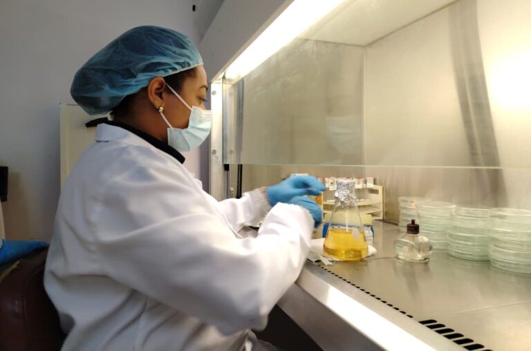 Inzit investiga el potencial antifúngico del quitosano modificado contra Fusarium sp.