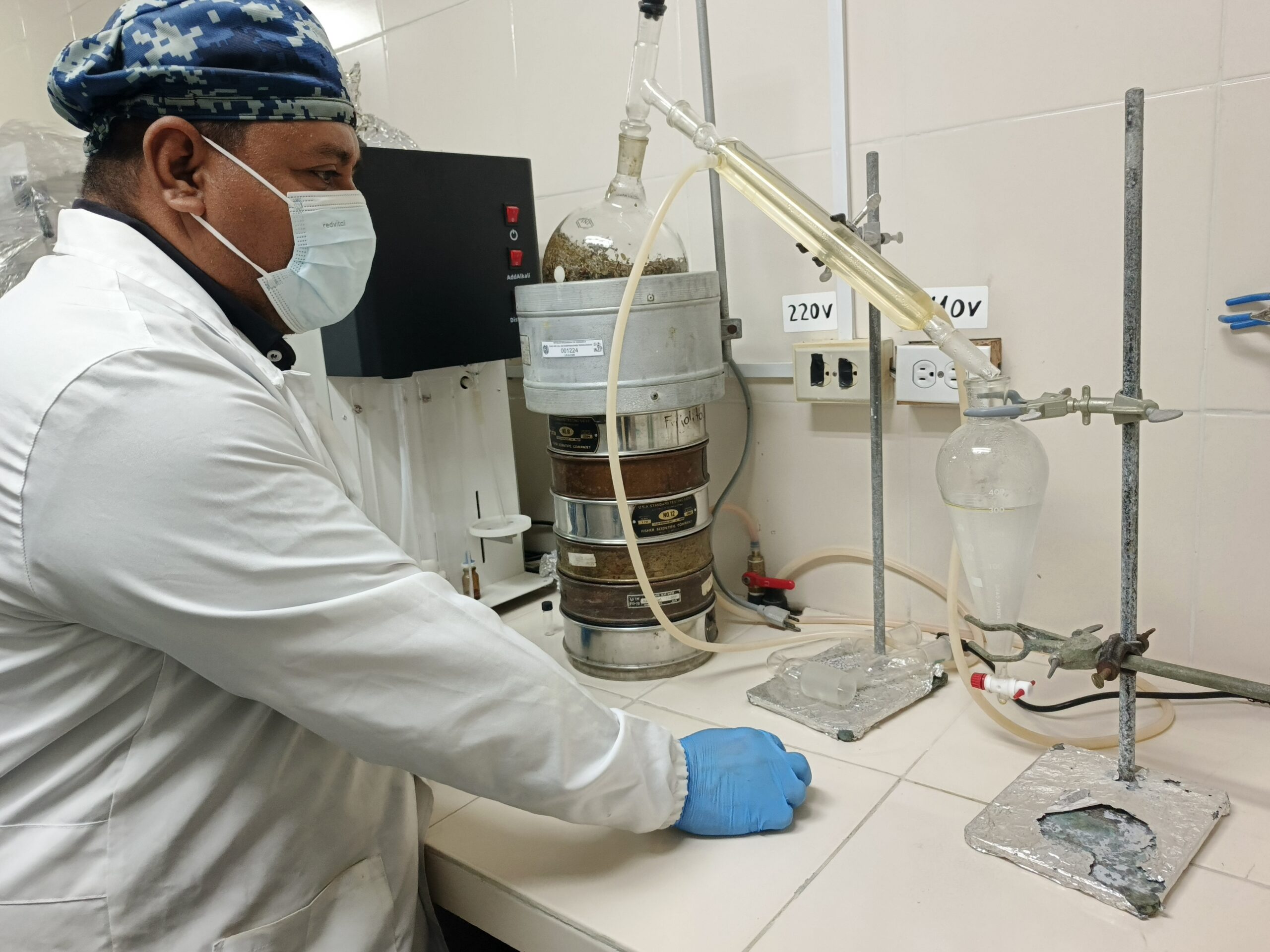 Investigadores venezolanos estudian aceites esenciales para el control de Fusarium en Capsicum annum