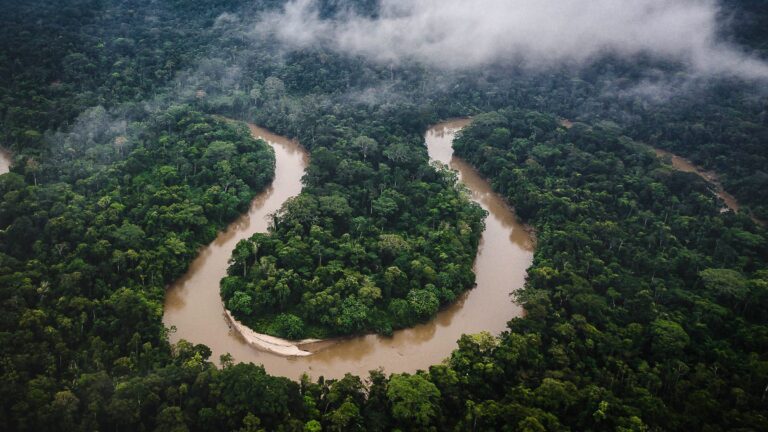 Científicos y pueblos indígenas venezolanos en alianza por la preservación de la Cuenca Amazónica