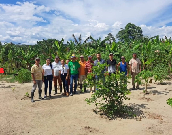 Yaracuy | Asistencia técnica de Ciepe fortalece siembra de musáceas en municipio Bolívar
