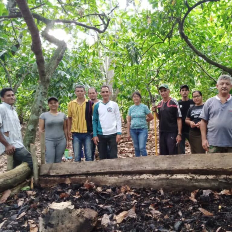 cacao.sucre5