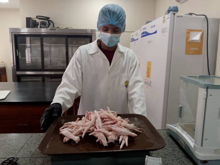 Ciepe trabaja en la extracción de colágeno para productos lácteos
