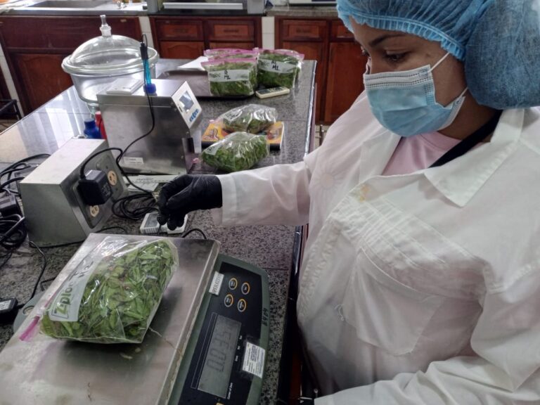 Fundación Ciepe impulsa alternativas proteicas para la alimentación animal