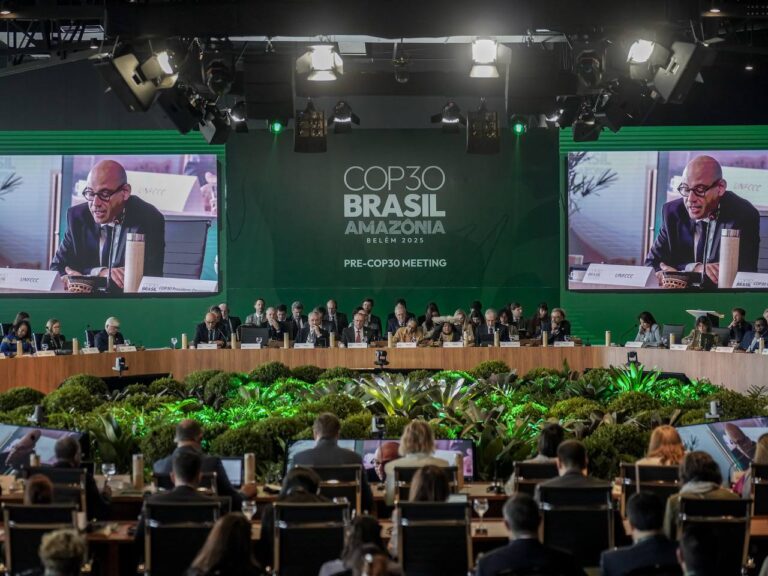 Venezuela participa en Encuentro Preparatorio para Conferencia sobre Cambio Climático en Brasilia