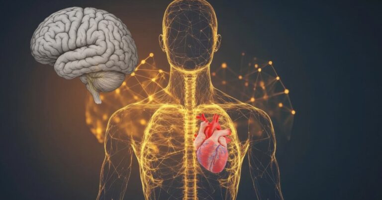Investigación revela conexión entre el corazón y el bienestar mental