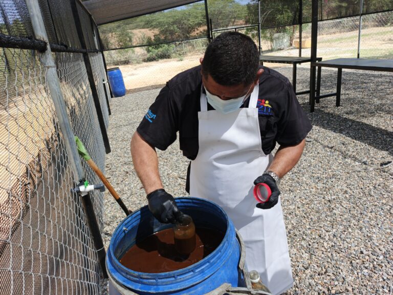 0-3968x2976-0-0-{}-0-12#