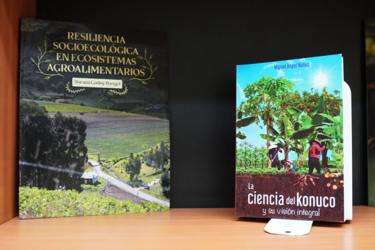 1roboticafundacitelara