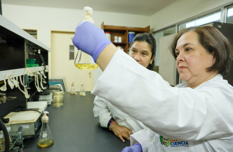 Proyecto del laboratorio de Micología IVIC transforma residuos en soluciones biotecnológicas