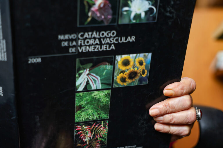 2apoyoelizabethgordon