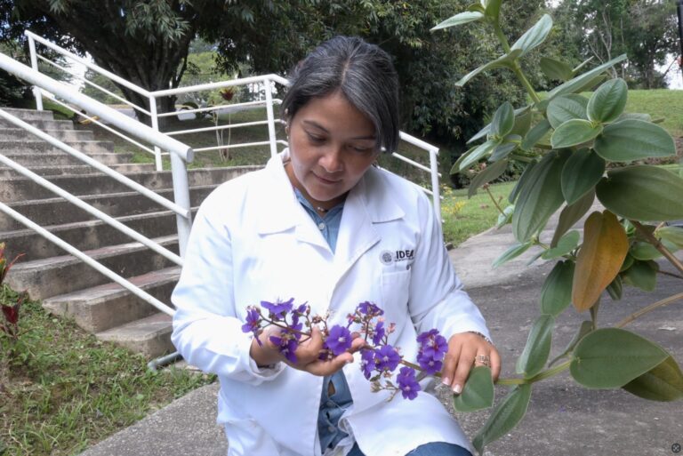 8c7d758b-d8e9-4f5b-a3c5-bdba15b66b38