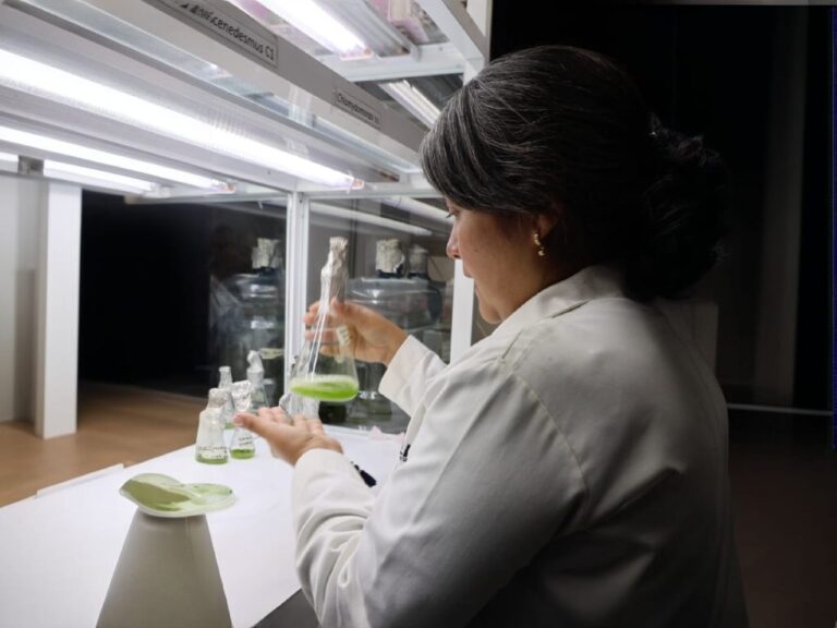 901badff-02f9-49bd-8079-8f927af2784b