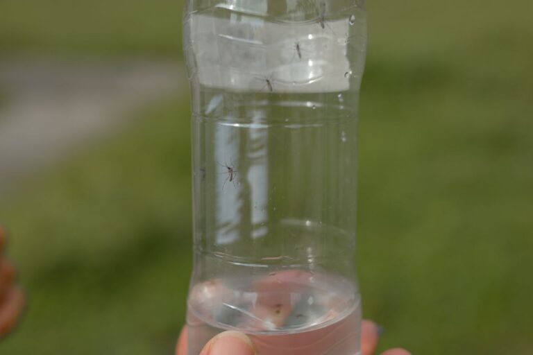 ABAE cuenta con tecnología satelital para prevenir y controlar patrones de distribución del dengue