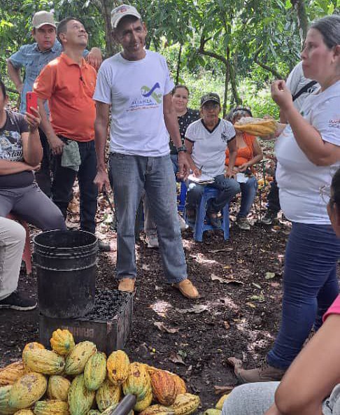 Productores de cacao barinenses participan en jornada sobre fermentación y calidad del grano