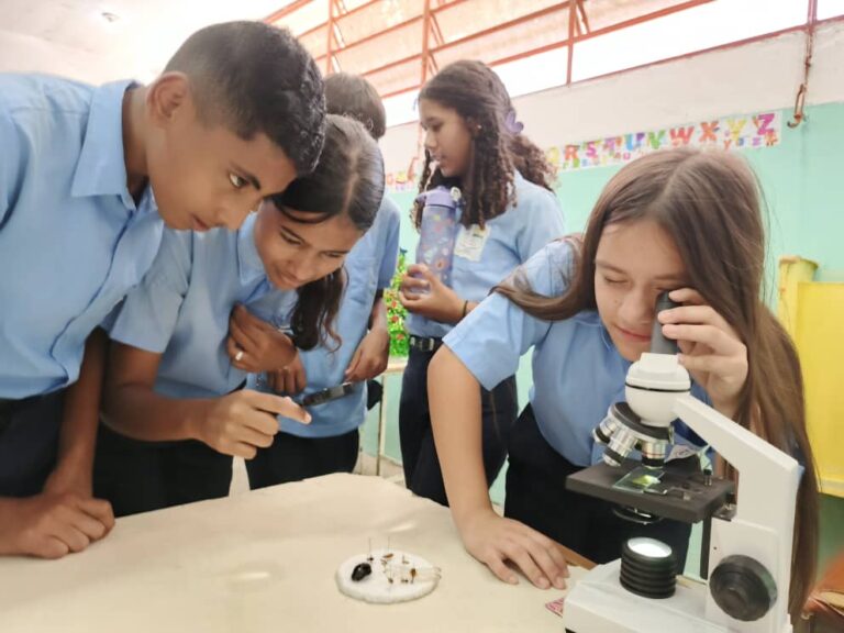 IMG_20251110_145247_476