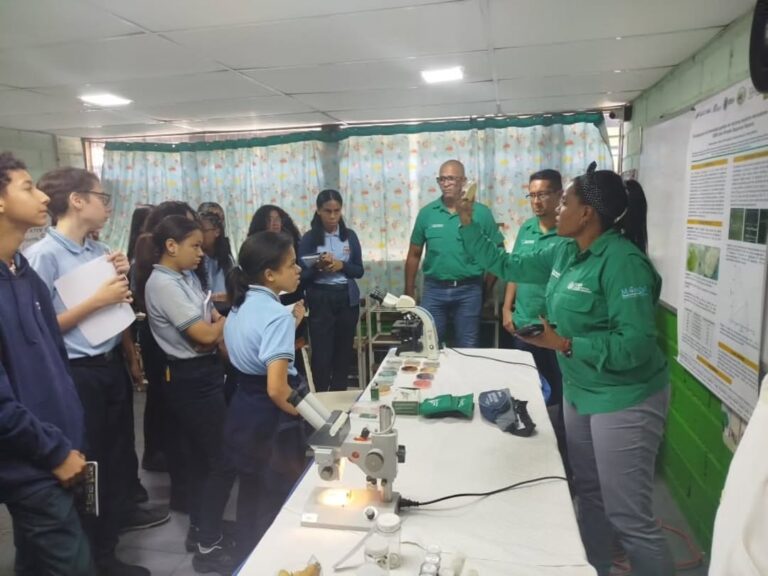 IMG_20251113_132143_799